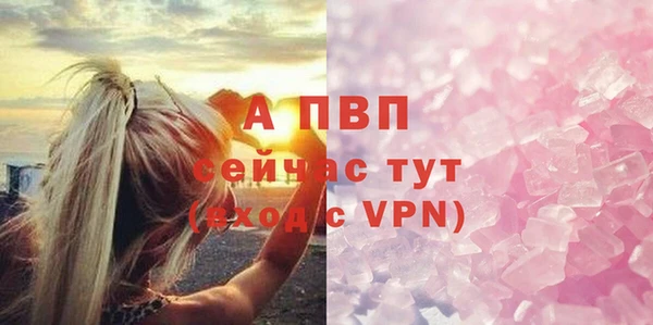 кокс Гатчина